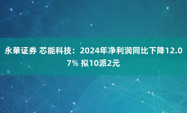 永華证券 芯能科技：2024年净利润同比下降12.07% 拟10派2元